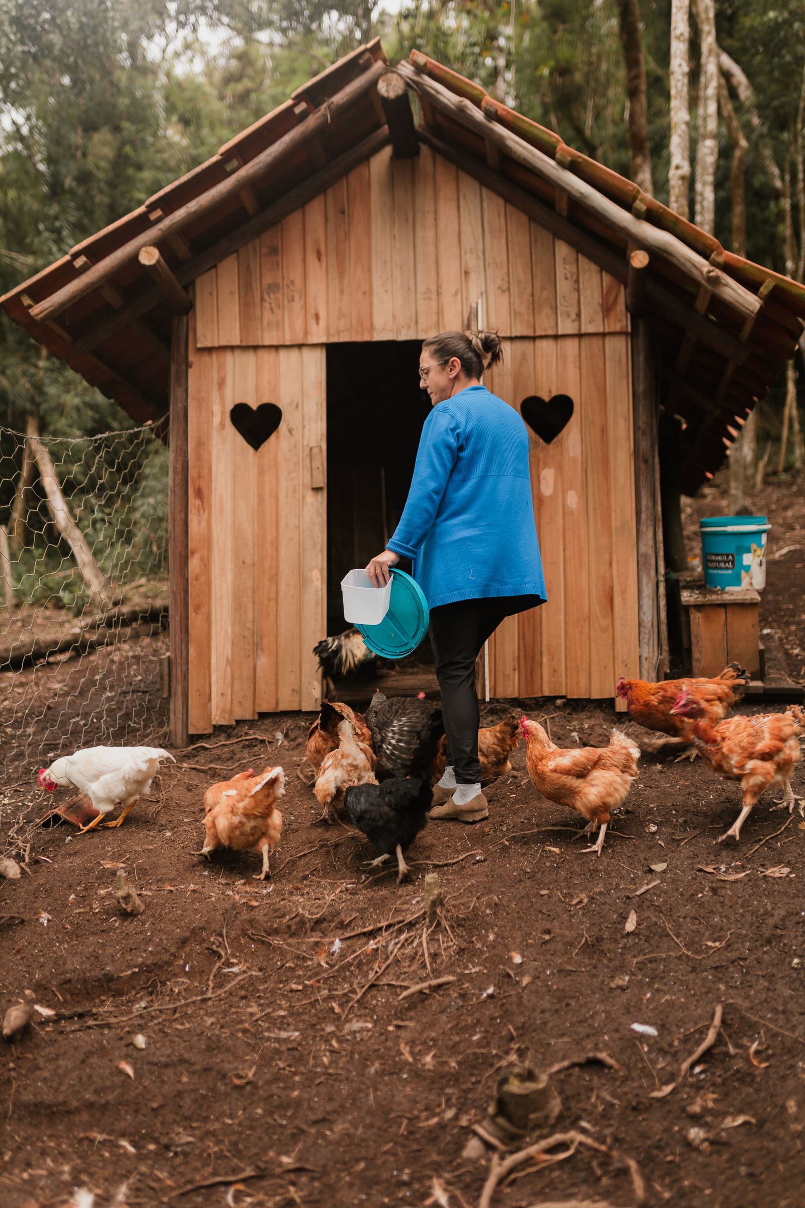 A keeper tending a small flock beside a wooden coop. The scene is illustrative and does not show a biosecurity procedure.